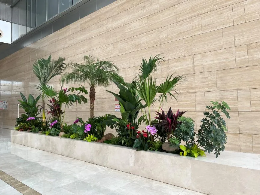 价格实惠的宁波江北绿植租赁，为您的生活增添绿意！